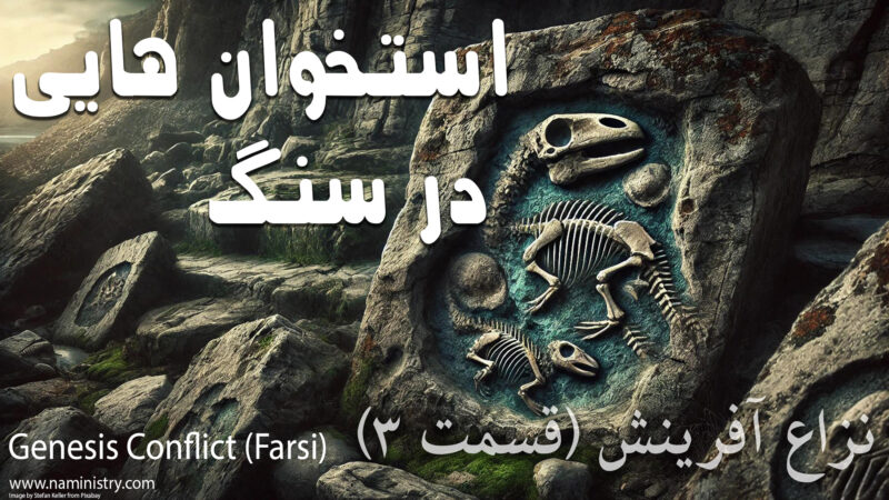 بررسی شواهد علمی بقایای دایناسورها